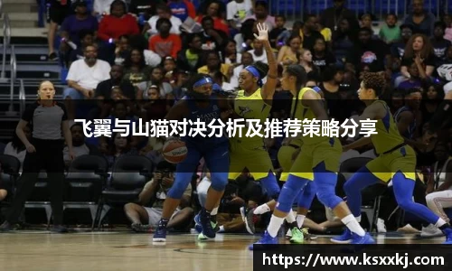 飞翼与山猫对决分析及推荐策略分享